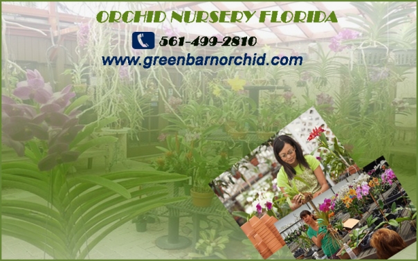 ORCHID NURSERY FLORIDA 10.6.19.jpg
